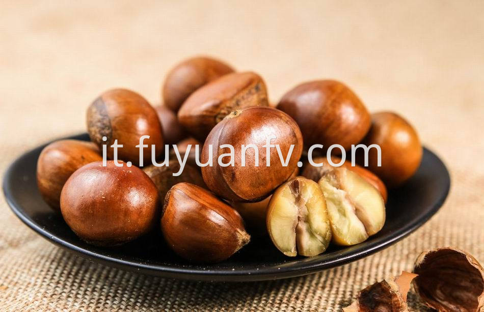 Fresh Chestnut 3